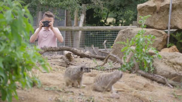 Joyeux Petit Garçon Zoo Prenant Des Photos Des Suricates — Video