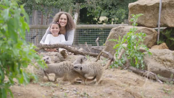 Gelukkige Moeder Dochter Kijken Stokstaartjes Wildpark — Stockvideo