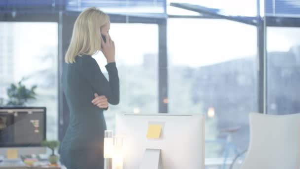 Empresária Falando Telefone Trabalhando Computador Escritório Criativo — Vídeo de Stock