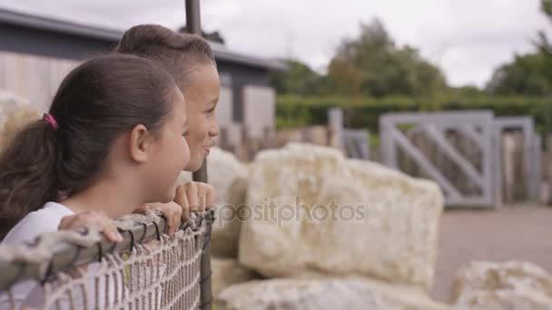 Boldog Kis Fiú Lány Látszó Állat Kamrában Wildlife Park — Stock videók