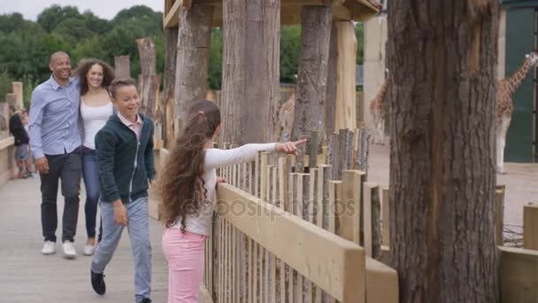 Familia Feliz Mirando Jirafas Parque Vida Silvestre — Vídeos de Stock