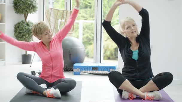 Healthy Mature Women Doing Fitness Workout Computer Tablet Floor — Stock Video
