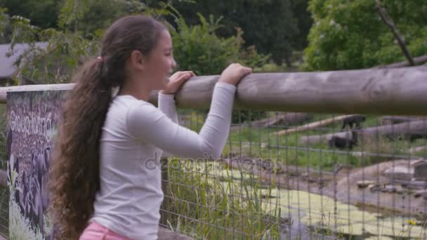 Dziewczynka Ogląda Obudowie Zwierząt Zoo — Wideo stockowe