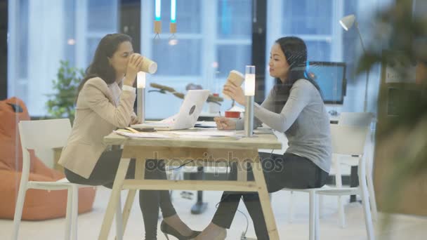 Mujeres Negocios Exitosas Confiadas Una Reunión Que Revisa Papeleo — Vídeo de stock