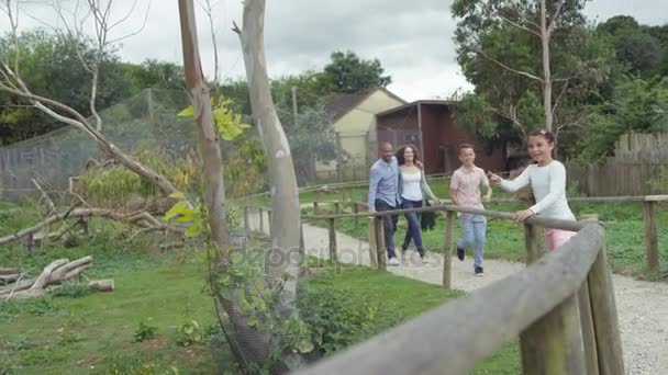 Famille Heureuse Regardant Dans Enceinte Wallaby Parc Animalier — Video
