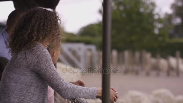 Família Feliz Olhando Para Rinoceronte Branco Parque Vida Selvagem — Vídeo de Stock