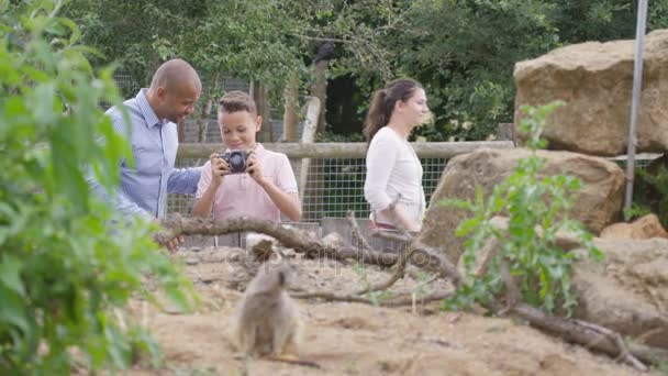 Blij Vader Zoon Dierentuin Kleine Jongen Met Foto Van Stokstaartjes — Stockvideo