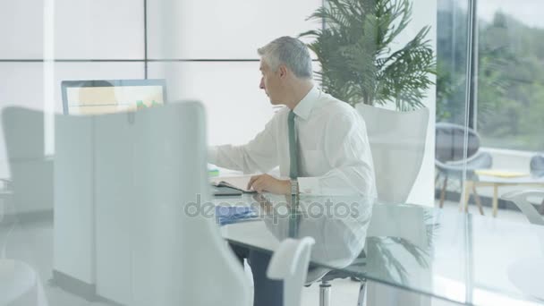 Attractive Mature Businessman Working His Desk City Office — Stock Video