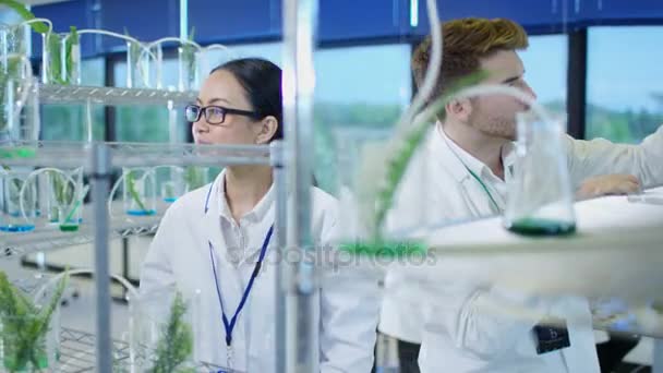 Chercheurs Scientifiques Étudiant Les Plantes Dans Agriculture Industrie Pharmaceutique — Video