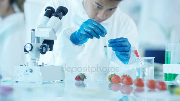 Food Science Researchers Working Lab Man Injecting Chemicals Fruit — Stock Video