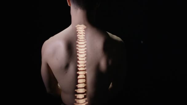 Columna Vertebral Iluminada Proyectada Parte Posterior Del Modelo Masculino Desnudo — Vídeos de Stock