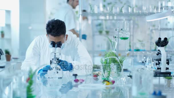 Research Scientists Studying Plant Life Lab Discussing Findings — Stock Video