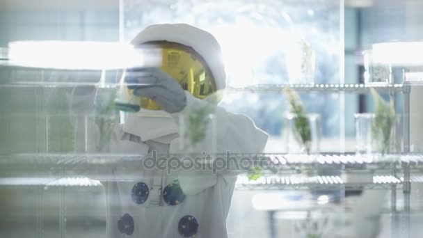 宇航员在科研项目中研究植物在实验室中的生活 — 图库视频影像