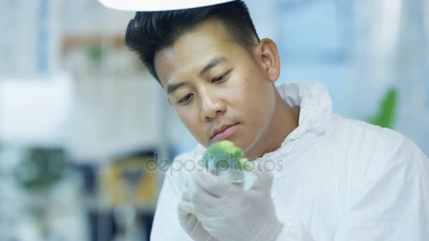 Investigador Ciencias Alimentarias Que Trabaja Laboratorio Inyectando Productos Químicos Brócoli — Vídeo de stock