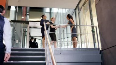 4k el sıkışan ve modern ofisinde konuşmak iş kadınları