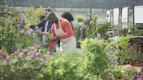 Friendly Pekerja Pusat Kebun Memeriksa Tanaman Dan Membantu Pelanggan — Stok Video