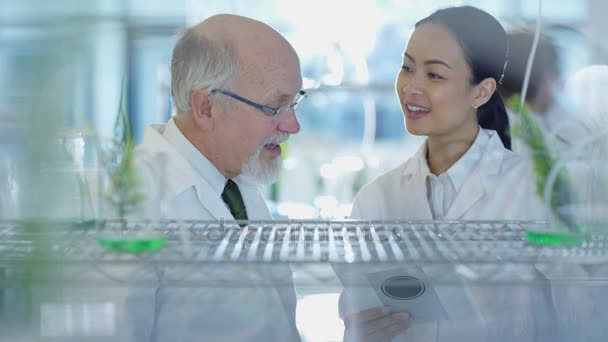 Retrato Científicos Sonrientes Que Estudian Muestras Plantas Laboratorio — Vídeo de stock