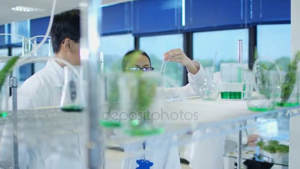 Cientistas Pesquisa Que Estudam Plantas Agricultura Indústria Farmacêutica — Vídeo de Stock