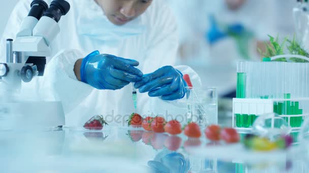 食品科学研究人员在实验室工作 人将化学物质注入水果 — 图库视频影像