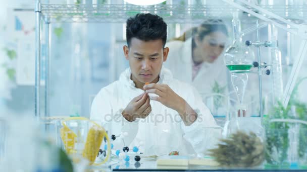 Дослідники Харчової Науки Працюють Лабораторії Людина Вводить Хімічні Речовини Фрукти — стокове відео