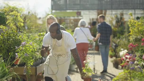 Εργαζόμενος Φυτό Νηπιαγωγείο Ακούγοντας Μουσική Και Χορό Ενώ Πελάτες Ψωνίζουν — Αρχείο Βίντεο