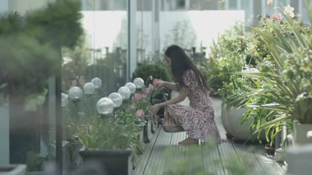 Mulheres Que Molham Plantas Que Olham Para Fora Vista Jardim — Vídeo de Stock