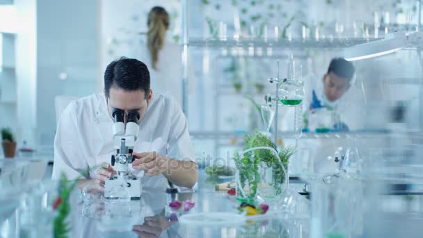 Retrato Cientista Pesquisa Sorrindo Trabalhando Laboratório — Vídeo de Stock