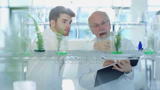 Cientistas Pesquisa Que Estudam Vida Vegetal Laboratório Discutem Suas Descobertas — Vídeo de Stock