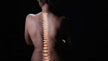 çıplak kadın modeli geri 4 k aydınlatmalı spinal sütun tahmin
