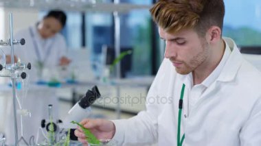 laboratuarda çalışan ve bitki örnekleri analiz 4 k Biyoloji araştırma bilim adamı