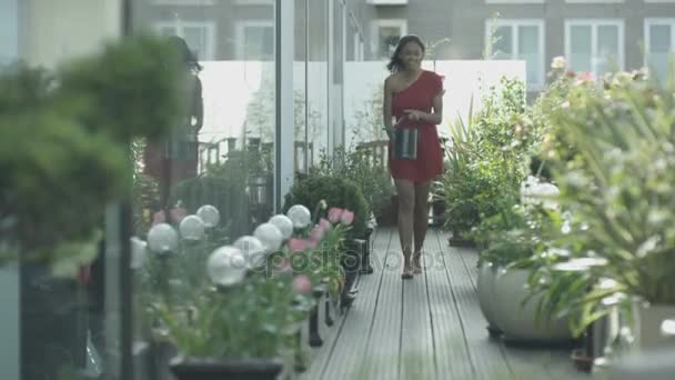 Attractive Young Woman Watering Plants City Rooftop Garden — Stock Video