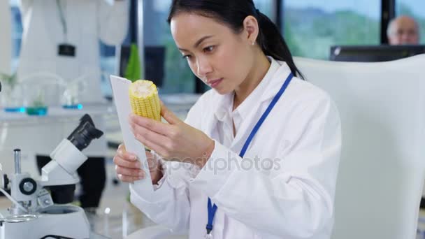 Pesquisadores Ciência Alimentar Trabalhando Laboratório Mulher Medindo Comprimento Uma Espiga — Vídeo de Stock
