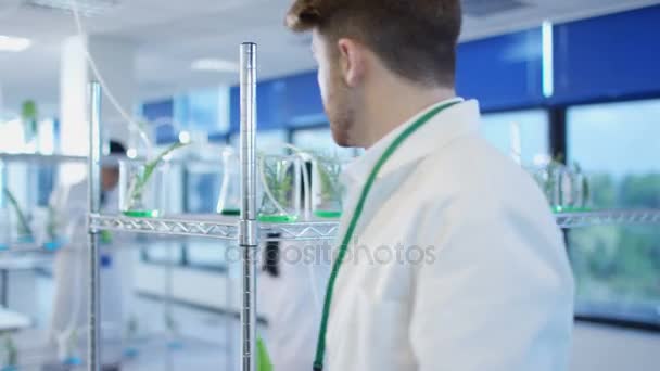 Gruppe Von Chemikern Untersucht Pflanzenextrakte Labor — Stockvideo