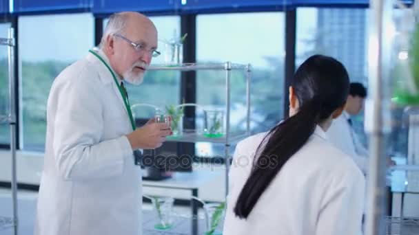 Csoport Kémikusok Vizsgáló Növényi Kivonatok Laboratóriumban — Stock videók