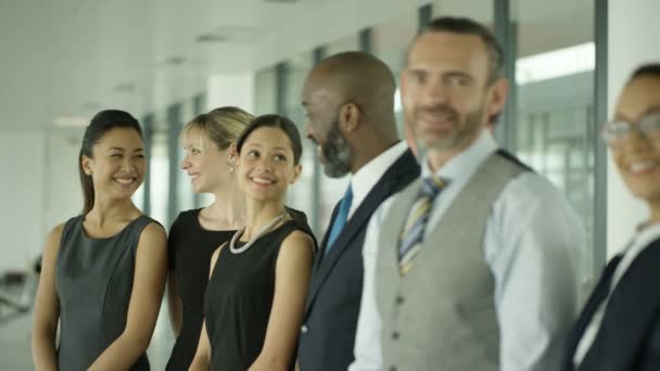 Retrato Feliz Equipo Negocios Multirracial — Vídeo de stock