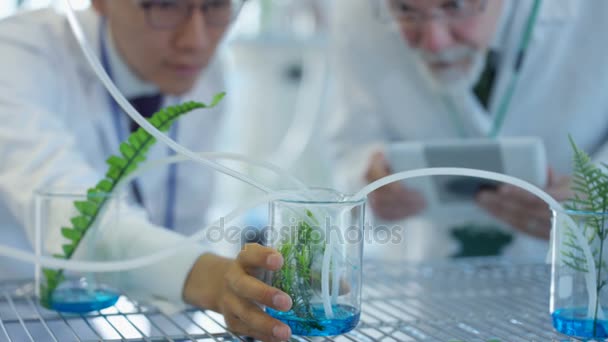 Científicos Investigación Revisando Muestras Plantas Laboratorio Discutiendo — Vídeo de stock