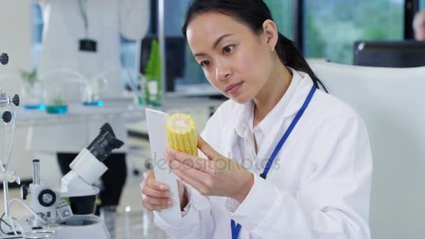 Żywności Nauki Naukowców Pracujących Laboratorium Kobieta Pomiaru Długości Cob Kukurydza — Wideo stockowe
