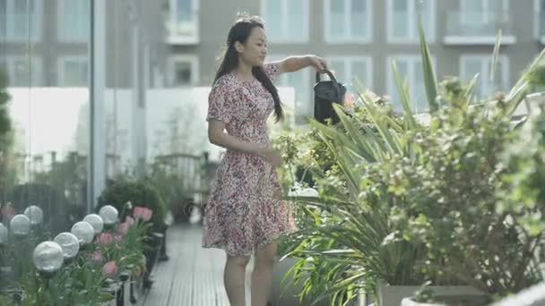 Kadın Sulama Tesisleri Şehir Çatı Bahçesinde Manzaraya Bakan — Stok video