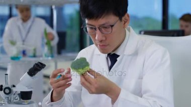 4 k gıda bilim araştırmacıları laboratuvar, bir adam kimyasallar broccolli enjekte