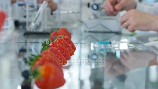 Food Science Forskare Arbetar Lab Man Injicera Kemikalier Frukt — Stockvideo