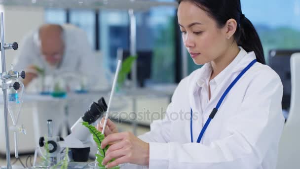 Biologie Forscher Arbeiten Labor Und Analysieren Pflanzenproben — Stockvideo
