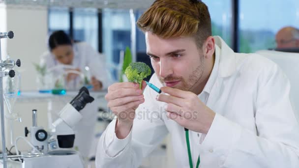实验室食品科学研究人员 一名男子向花椰菜注射化学物质 — 图库视频影像