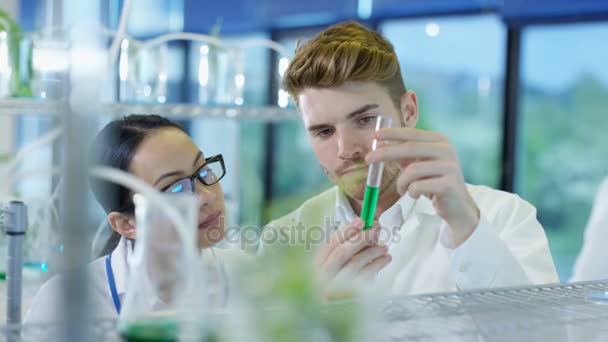 Equipo Investigación Científica Analizando Muestras Plantas Laboratorio — Vídeo de stock