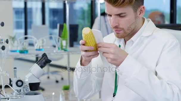 Ricercatori Scienze Alimentari Che Lavorano Laboratorio Uomo Che Misura Lunghezza — Video Stock