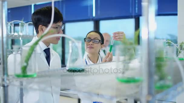 Research Scientists Studying Plants Agriculture Pharmaceutical Industry — Stock Video