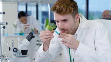 4 k gıda bilim araştırmacıları laboratuvar, bir adam kimyasallar broccolli enjekte