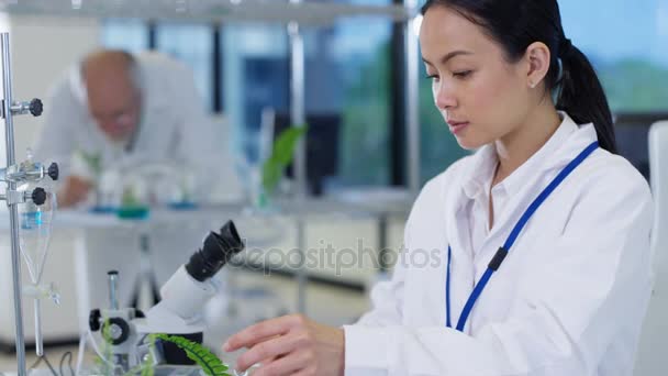 Biologii Výzkumný Pracovník Pracuje Laboratoři Analyzovat Vzorky Rostlin — Stock video