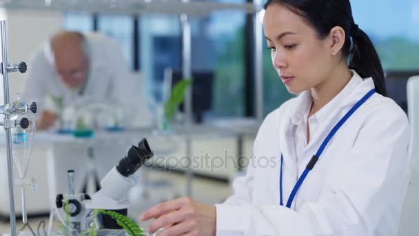 Cientista Pesquisa Biologia Trabalhando Laboratório Analisando Amostras Plantas — Vídeo de Stock