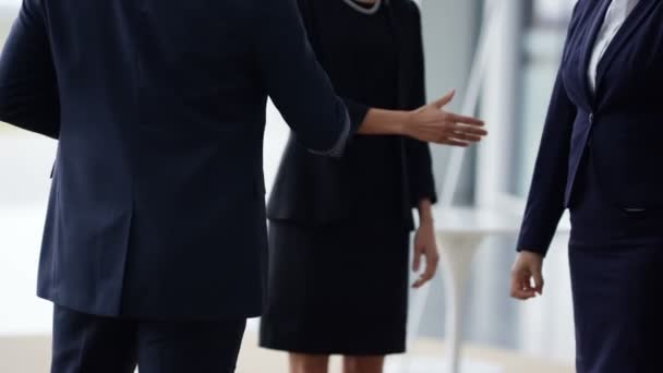 Retrato Una Mujer Negocios Sonriente Estrechando Mano Con Colegas Oficina — Vídeos de Stock