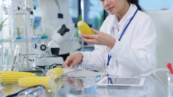 Ricercatori Scienze Alimentari Che Lavorano Laboratorio Donna Che Misura Lunghezza — Video Stock